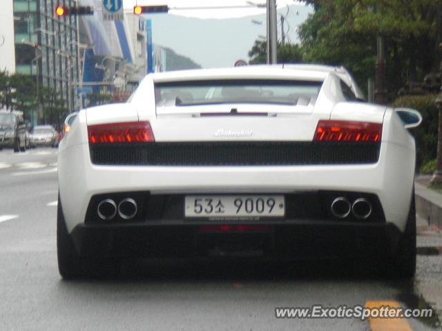 Lamborghini Gallardo spotted in Busan, South Korea