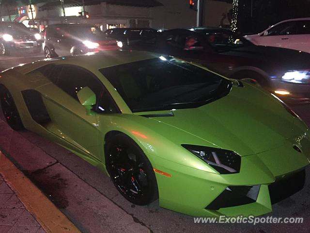 Lamborghini Aventador spotted in Fort Lauderdale, Florida