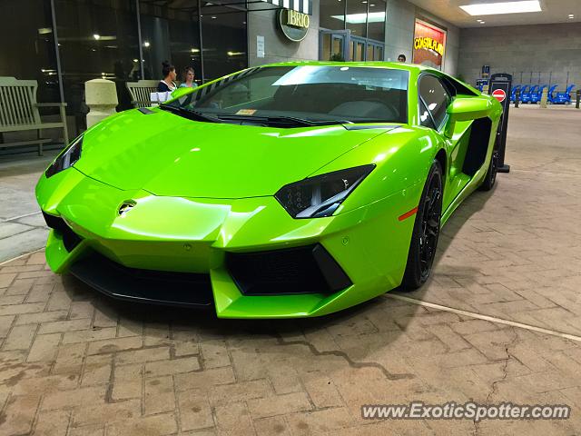 Lamborghini Aventador spotted in Tyson's Corner, Virginia