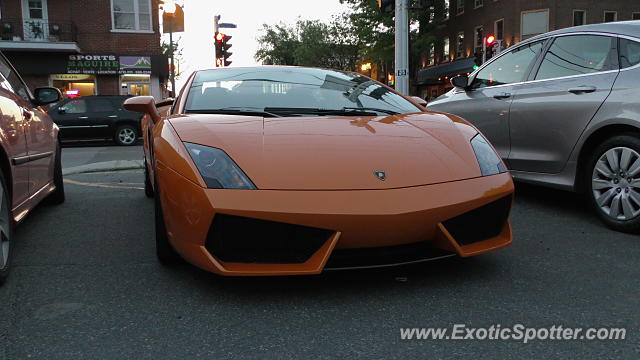 Lamborghini Gallardo spotted in Québec, Canada