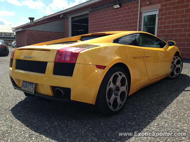 Lamborghini Gallardo spotted in Palmerton, Pennsylvania