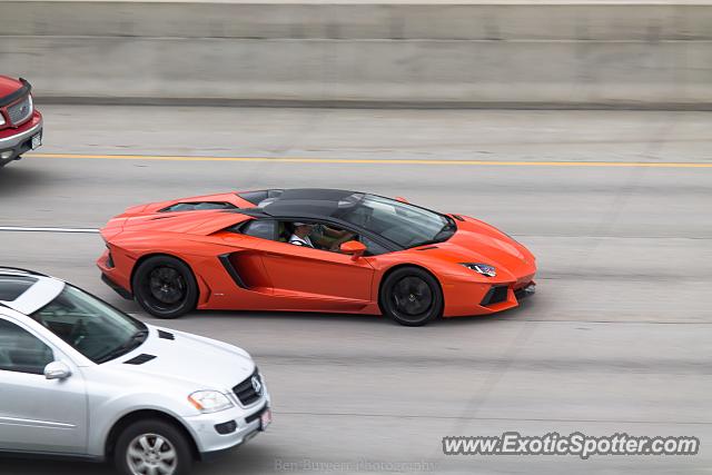 Lamborghini Aventador spotted in Denver, Colorado