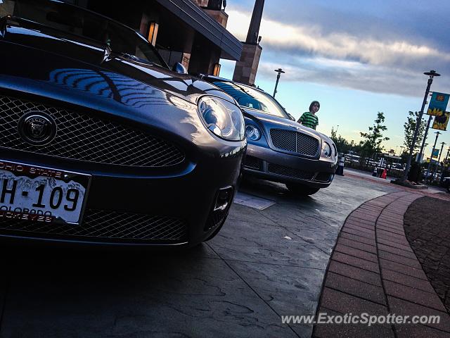 Bentley Continental spotted in Lone Tree, Colorado