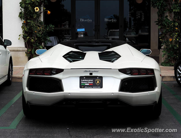 Lamborghini Aventador spotted in Newport Beach, California