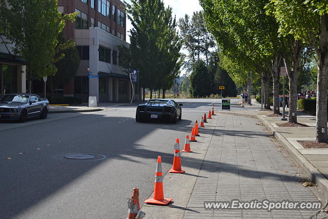 Lamborghini Gallardo spotted in Bellevue, Washington