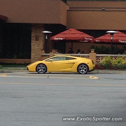 Lamborghini Gallardo spotted in Atlanta, Georgia