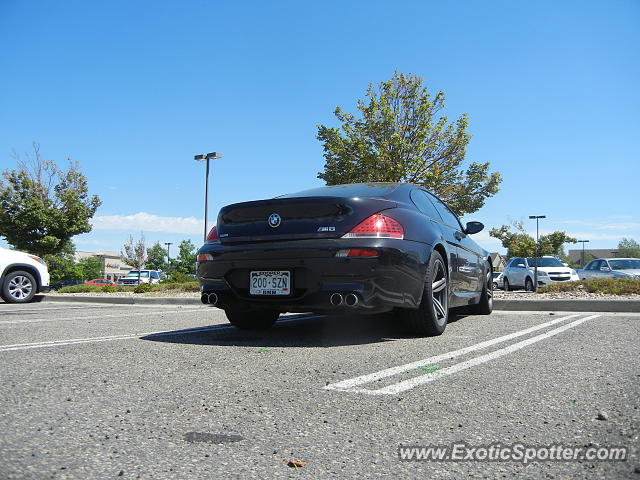 BMW M6 spotted in Castle Pines, Colorado