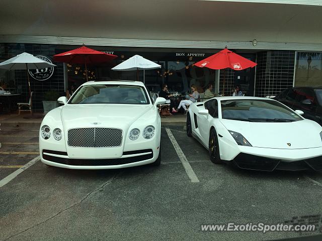 Lamborghini Gallardo spotted in Houston, Texas