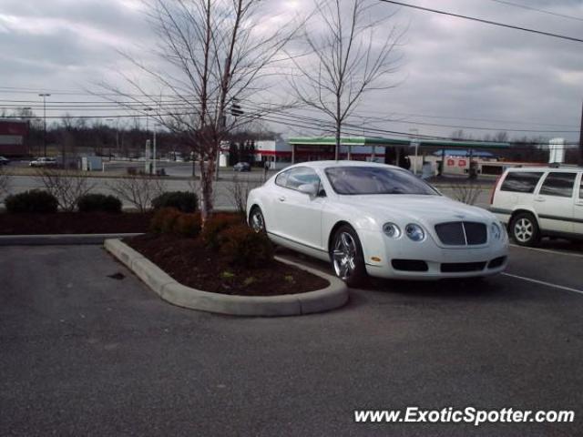 Bentley Continental spotted in Louisville, Kentucky