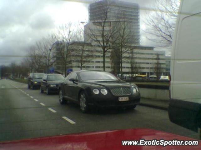 Bentley Continental spotted in Eindhoven, Netherlands