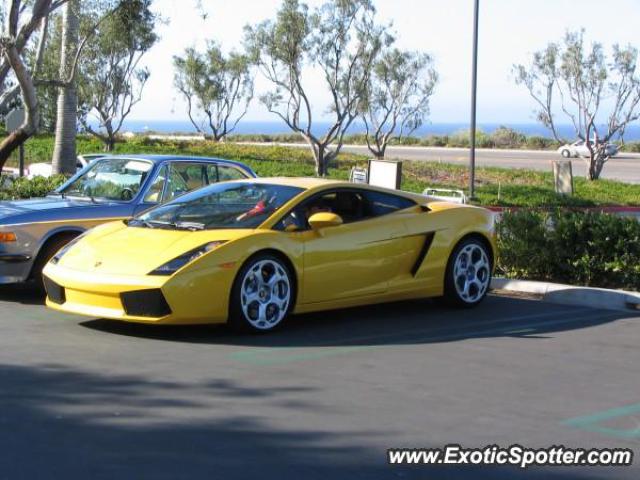 Lamborghini Gallardo spotted in Camp Pendleton, California