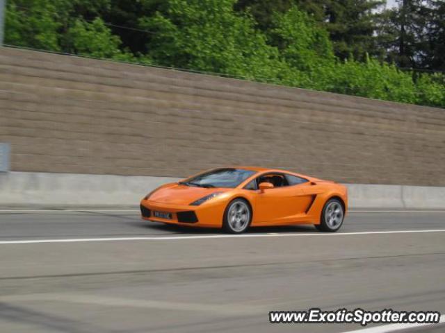 Lamborghini Gallardo spotted in San Ramon, California