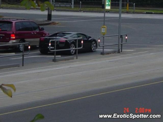 Lamborghini Gallardo spotted in Melbourne, Australia