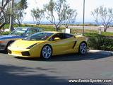 Lamborghini Gallardo