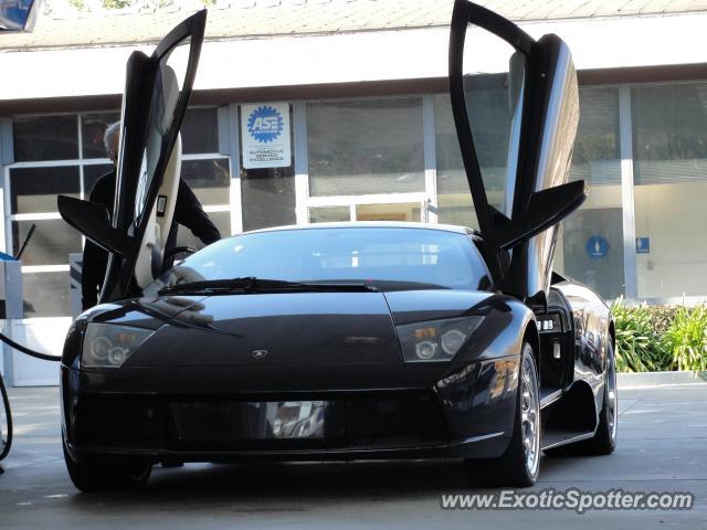 Lamborghini Murcielago spotted in Orinda, California