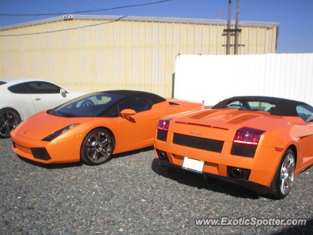 Lamborghini Gallardo spotted in Los angeles, California