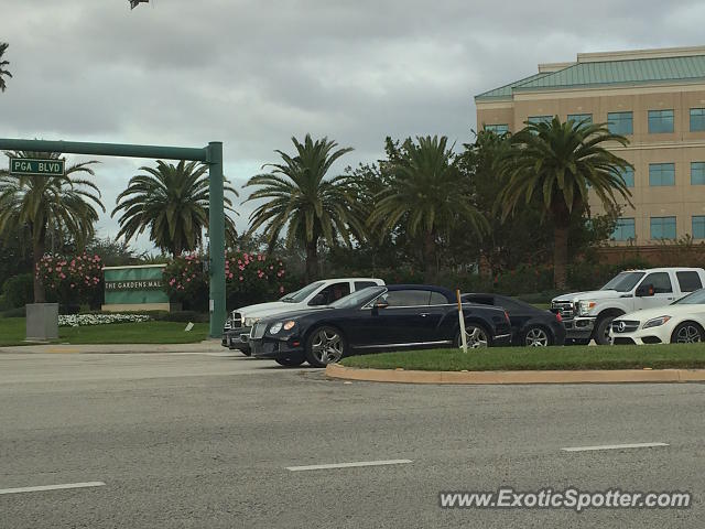 Bentley Continental spotted in Palm B. Gardens, Florida