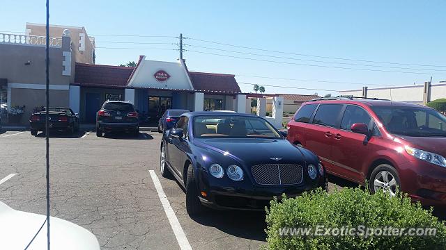 Bentley Continental spotted in Scottsdale, Arizona