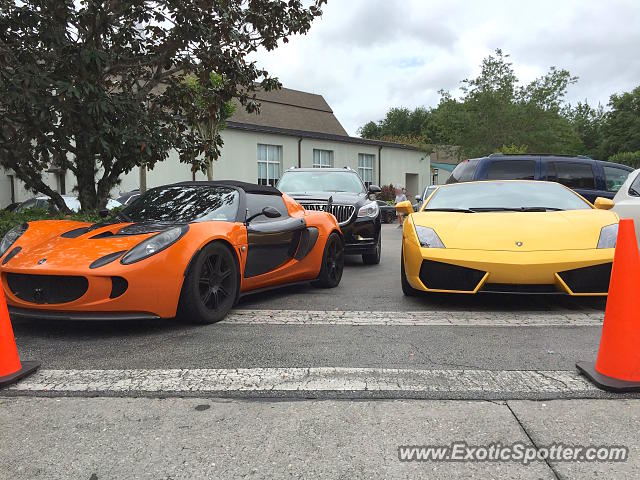 Lamborghini Gallardo spotted in Celebration, Florida