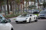 Lamborghini Gallardo