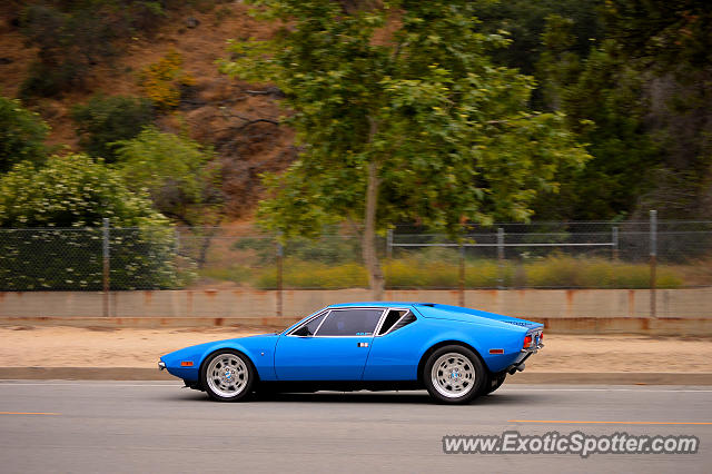 DeTomaso Pantera2 spotted in Pasadena, California