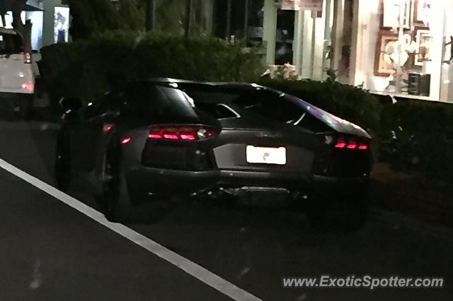 Lamborghini Aventador spotted in Sarasota, Florida