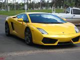 Lamborghini Gallardo