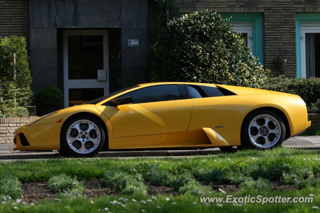 Lamborghini Murcielago spotted in The Hague, Netherlands