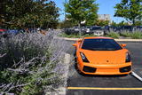 Lamborghini Gallardo