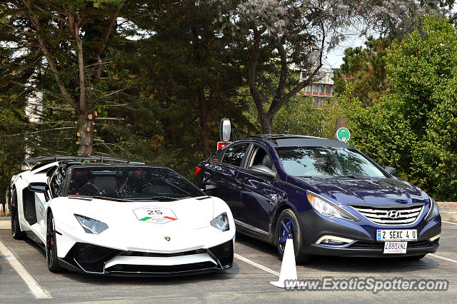 Lamborghini Aventador spotted in Monterey, California