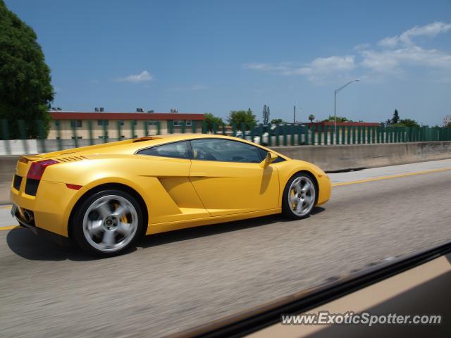 Lamborghini Gallardo spotted in Miami, Florida