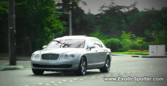 Bentley Continental spotted in Medina, Washington