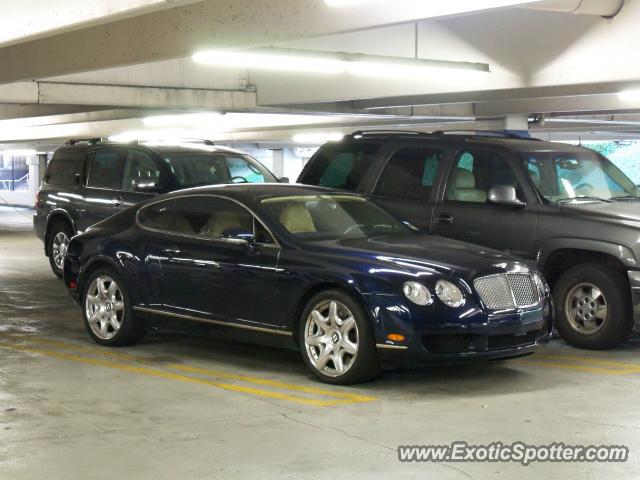 Bentley Continental spotted in Houston, Texas