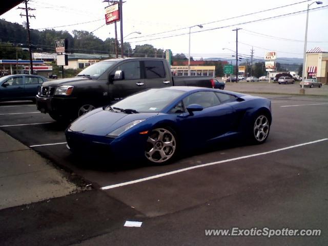 Lamborghini Gallardo spotted in Vestal, New York