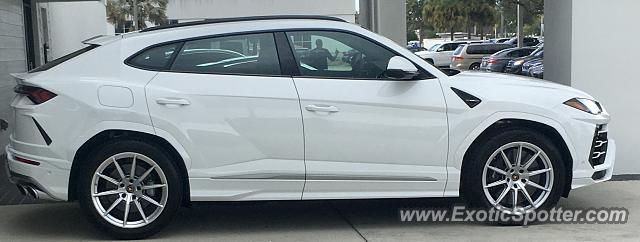 Lamborghini Urus spotted in Sarasota, Florida