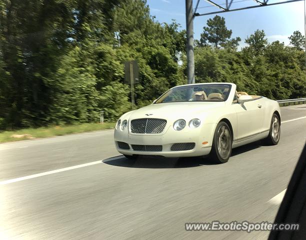 Bentley Continental spotted in Jacksonville, Florida