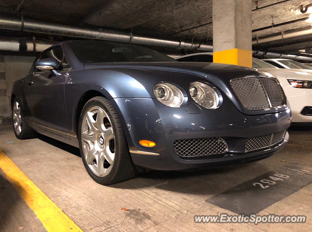 Bentley Continental spotted in Amelia island, Florida