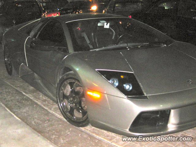 Lamborghini Murcielago spotted in Jacksonville, Florida