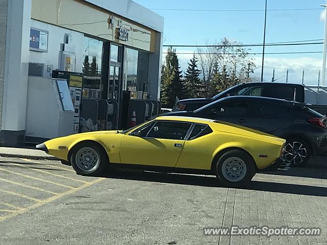 DeTomaso Pantera2 spotted in Calgary, Canada
