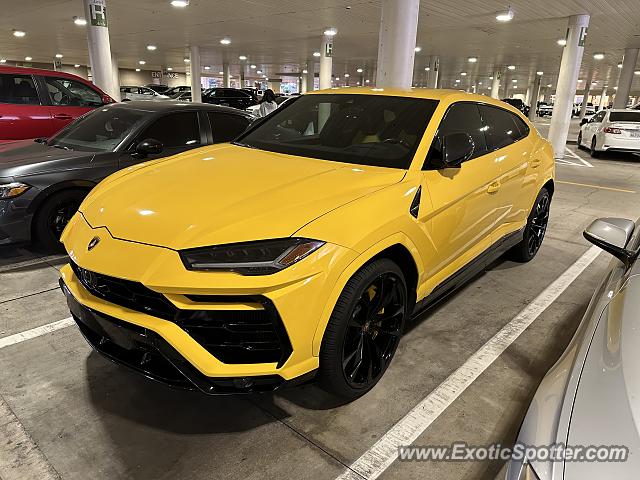 Lamborghini Urus spotted in Costa Mesa, California