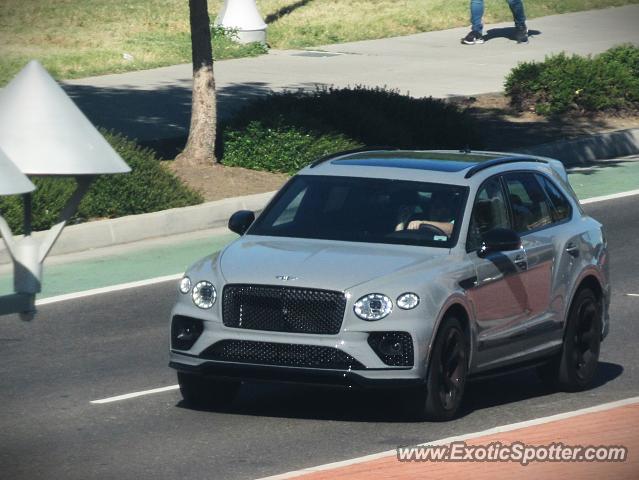 Bentley Bentayga spotted in Sacramento, California