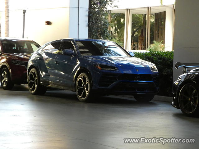 Lamborghini Urus spotted in Miami Beach, Florida