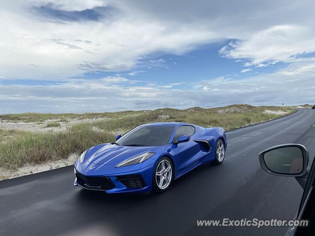 Chevrolet Corvette Z06 spotted in Gulf Island, Florida