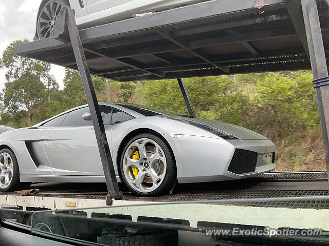 Lamborghini Gallardo spotted in New South Wales, Australia