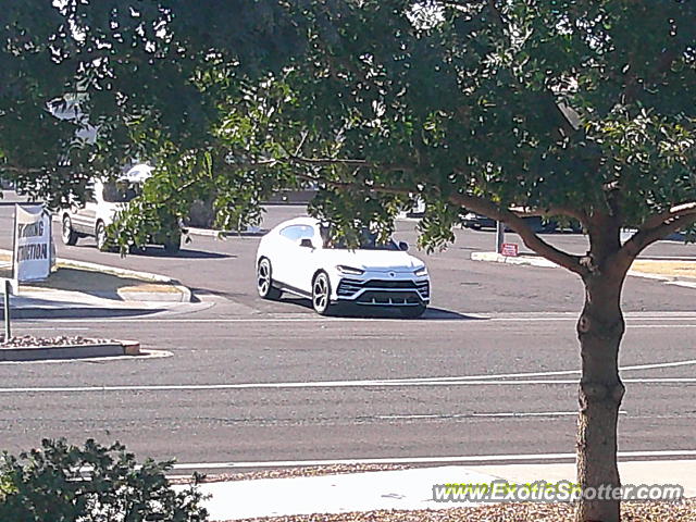 Lamborghini Urus spotted in Scottsdale, Arizona