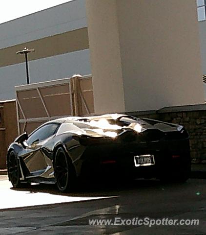 Lamborghini Aventador spotted in Scottsdale, Arizona