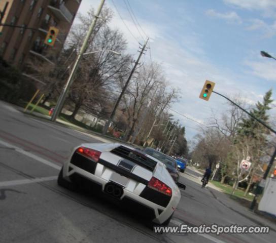 Lamborghini Murcielago spotted in Oakville, Canada