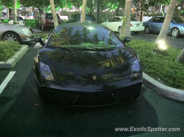 Lamborghini Gallardo spotted in Miami, Florida