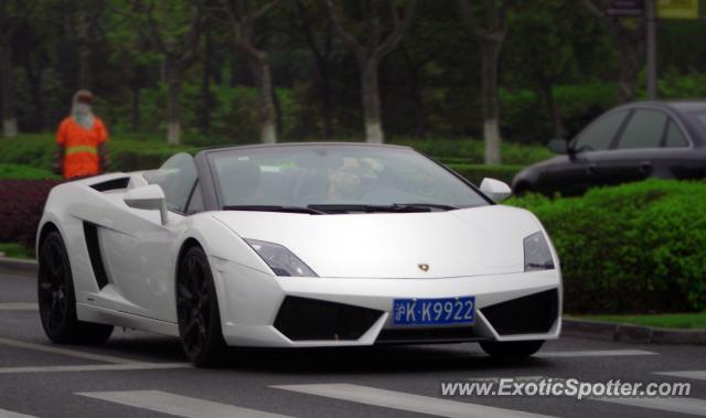 Lamborghini Gallardo spotted in Shanghai, China