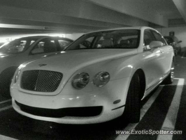 Bentley Continental spotted in King Of Prussia, Pennsylvania